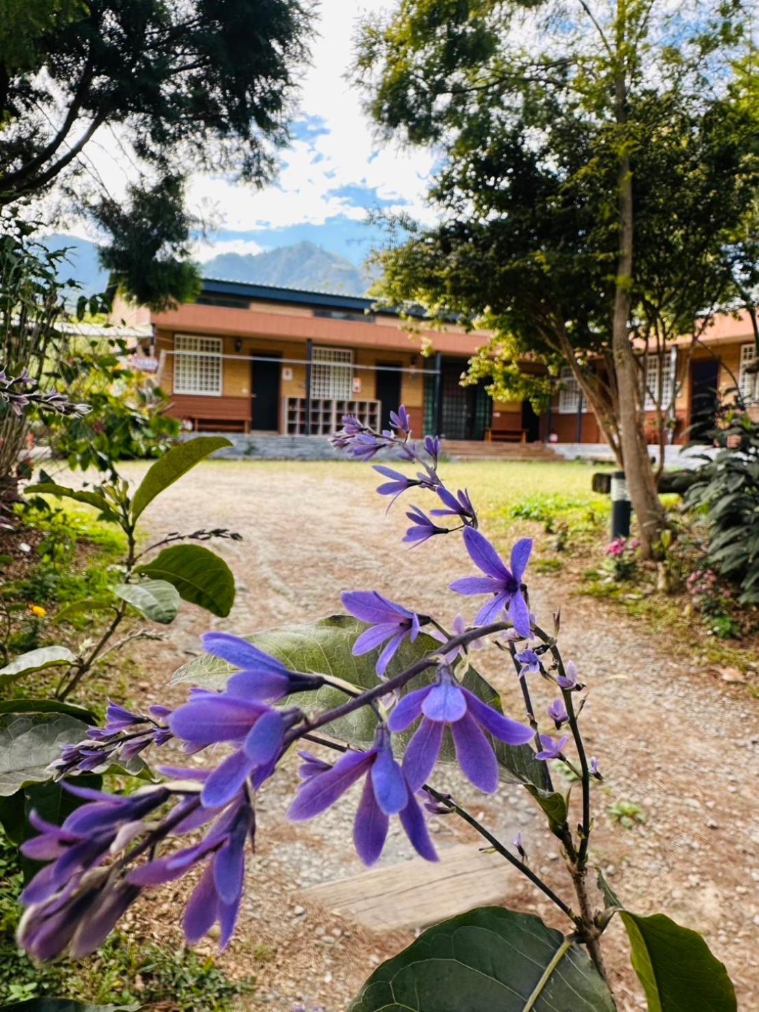 Go Bill B&B Xinyi Esterno foto